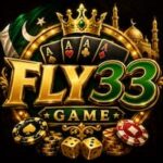 Fly33 Game App
